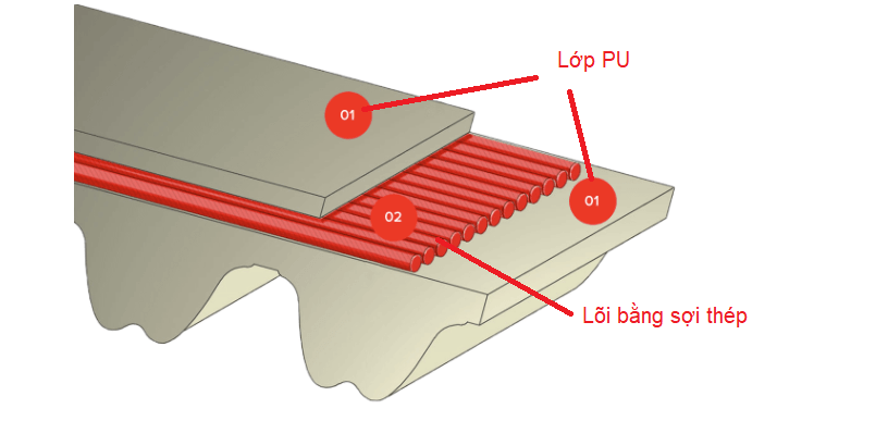 cấu tạo dây curoa răng pu