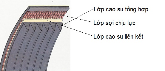 cấu tạo bên trong dây curoa pk