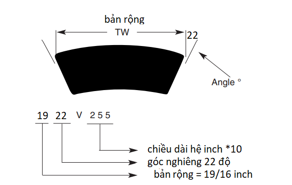 dây curoa biến tốc 1922v